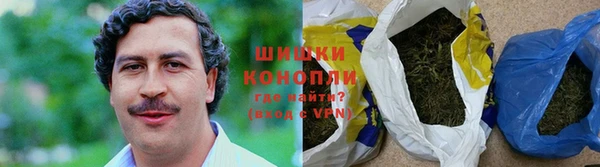 прущие грибы Володарск