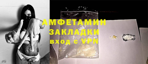 прущие грибы Володарск