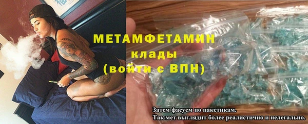 прущие грибы Володарск