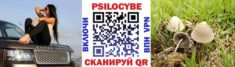 mega сайт  где купить наркоту  Ивангород  Псилоцибиновые грибы Cubensis 